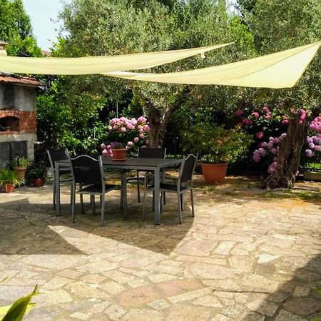 Apartamento A Casa Di Leda Sarzana Exterior foto